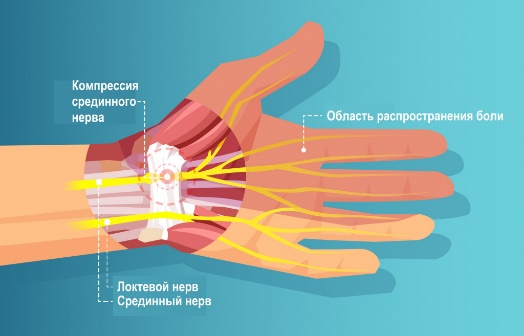 Периферические нервы